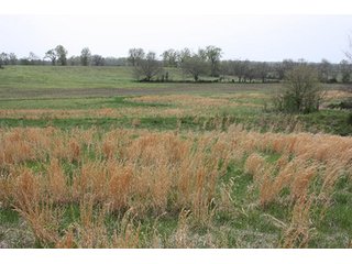 Property photo 24 - 438 +/- Acres Offered in 10 Tracts - Metcalf Farms - 6PM CST